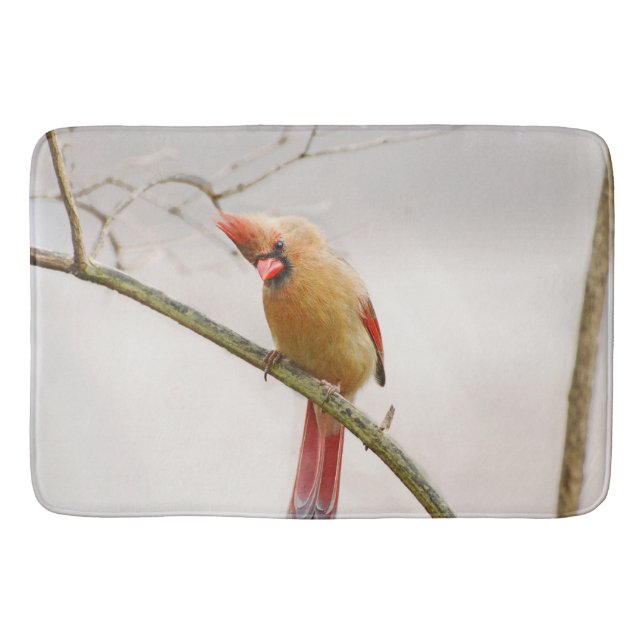 Tapete De Banheiro Bathmat Cardinal Curiosa (Frente)
