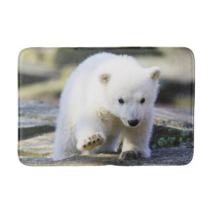 Tapete De Banheiro Bebês Mais Pobres   Bebê-Urso Polar