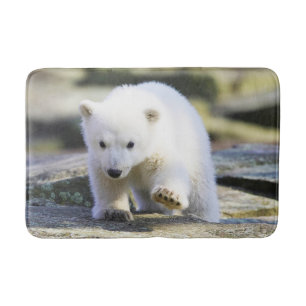 Tapete De Banheiro Bebês Mais Pobres   Bebê-Urso Polar