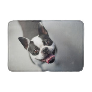 Tapete De Banheiro Bebês Mais Pobres Boston Buldog Smile