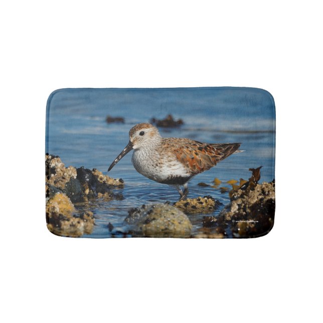 Tapete De Banheiro Belo Dunlin Shorebird na praia (frente)
