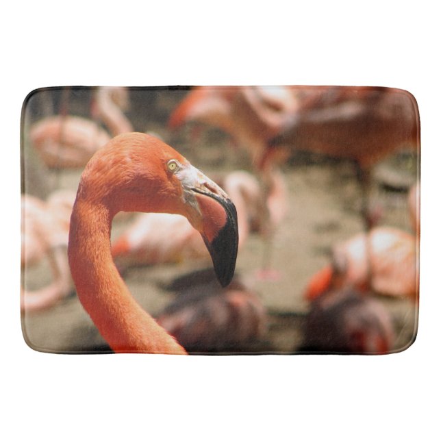Tapete De Banheiro Belo Flamingo Bath Mat! (Frente)
