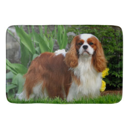 Tapete De Banheiro Blenheim Cavalier King Charles Spaniel Puppy Dog