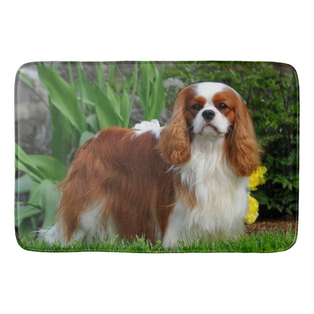 Tapete De Banheiro Blenheim Cavalier King Charles Spaniel Puppy Dog (Frente)
