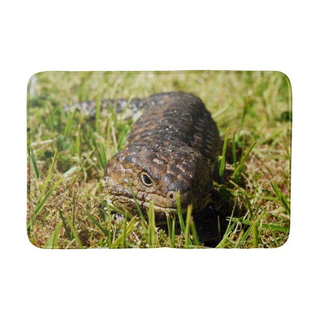 Tapete De Banheiro Blue Tongue Stumpy Lizard, (Frente)