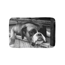 Cachorro-Boxer no Windowsill bmcnm