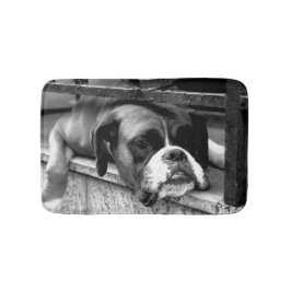 Tapete De Banheiro Cachorro-Boxer no Windowsill bmcnm