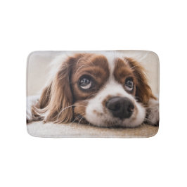 Tapete De Banheiro Cachorro Panelado De Olhos Tristes