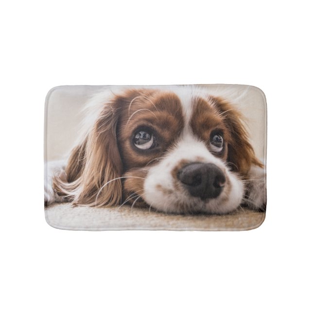 Tapete De Banheiro Cachorro Panelado De Olhos Tristes (frente)