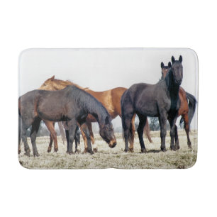 TAPETE DE BANHEIRO CAVALOS