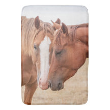 Cavalos fungando em uma pastagem