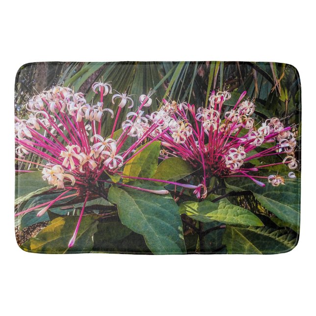 Tapete De Banheiro Clerodendrum Starburst Flores Bath Mat (Frente)