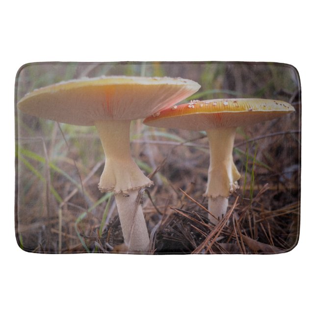 Tapete De Banheiro Cogumelos (Frente)