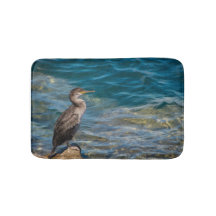 Corvo-excelente Nas Rochas