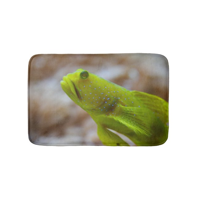 Tapete De Banheiro Cryptocentrus cinctus (frente)