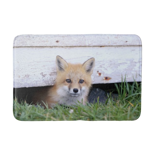 Tapete De Banheiro Cutest Baby Animals | Red Fox Kit Peeking (Frente)