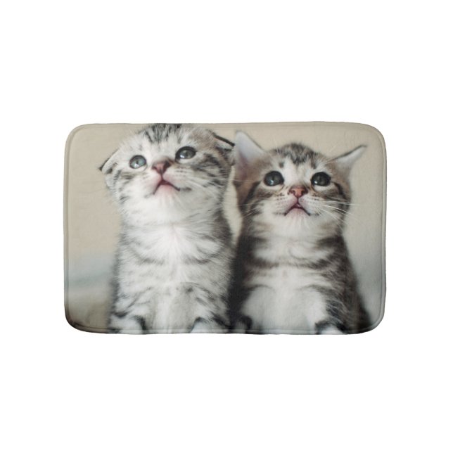Tapete De Banheiro Dois gatinhos bonitos (frente)