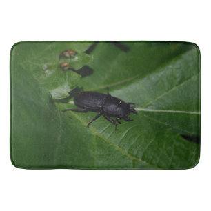 Tapete De Banheiro Dorcus parallelipipedus , o escaravelho inferior