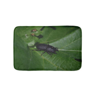 Tapete De Banheiro Dorcus parallelipipedus , o escaravelho inferior