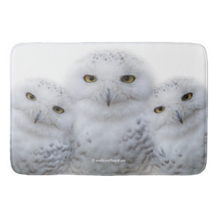 Tapete De Banheiro Dreamy Wisdom of Snowy Ows