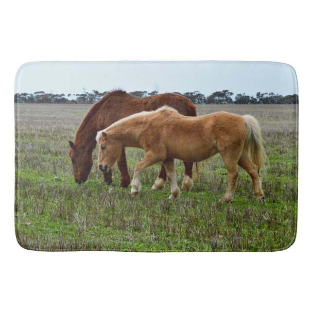 Tapete De Banheiro Égua Castanha e Potro Palomino, (Frente)