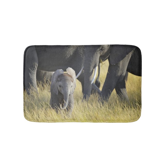 Tapete De Banheiro Elefante do bebê (frente)