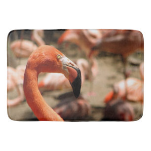 Tapete De Banheiro Esteira de banho lindo do flamingo!
