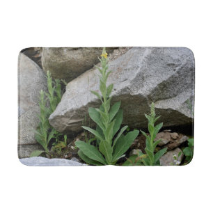 Tapete De Banheiro Flores Mullein Selvagens Entre Rochas