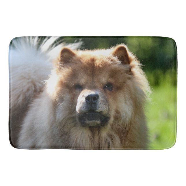 Tapete De Banheiro Fluffy (Frente)