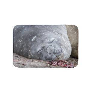 Tapete De Banheiro Foca-elefante que dorme