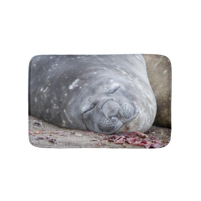Tapete De Banheiro Foca-elefante que dorme (frente)