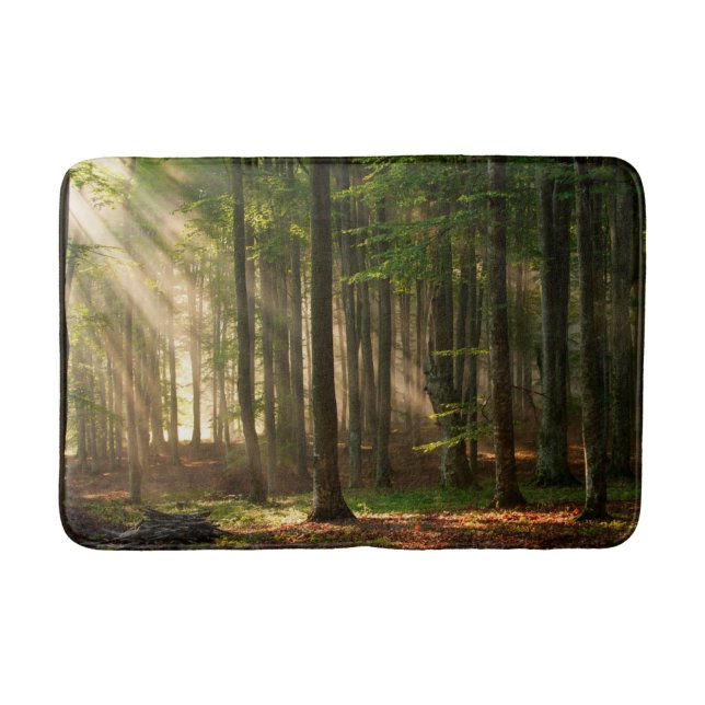 Tapete De Banheiro Forests | Autumn Forest (Frente)