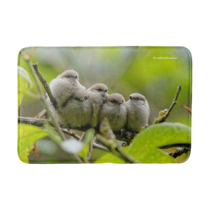 Tapete De Banheiro Foto da Família Songbird, Cute Bushtits