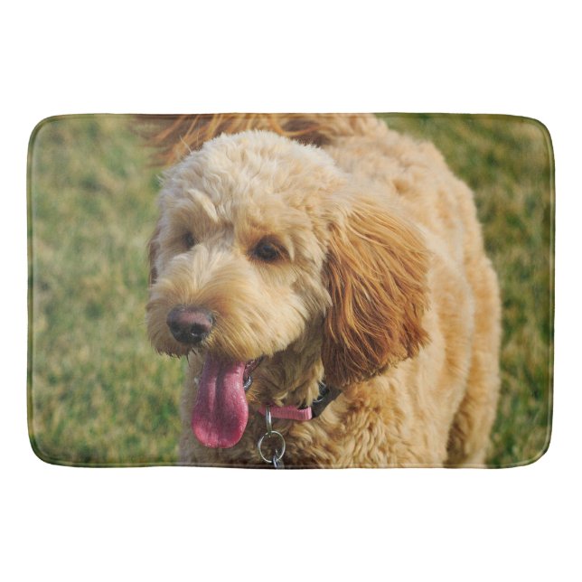 Tapete De Banheiro Foto de Cachorro Goldendoodle (Frente)