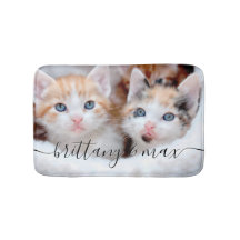 Foto dos seus adoráveis gatinhos de estimação