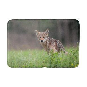 Tapete De Banheiro Fotografia Animal, Brown Coyote