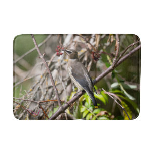 Tapete De Banheiro Fotografia de aves, Waxwing Boêmian