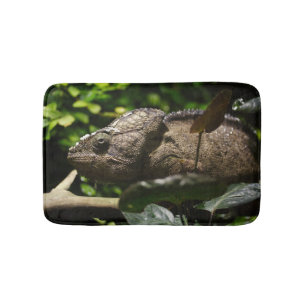 Tapete De Banheiro Furcifer oustaleti