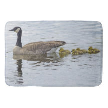 Ganso Canadiano E Goslings