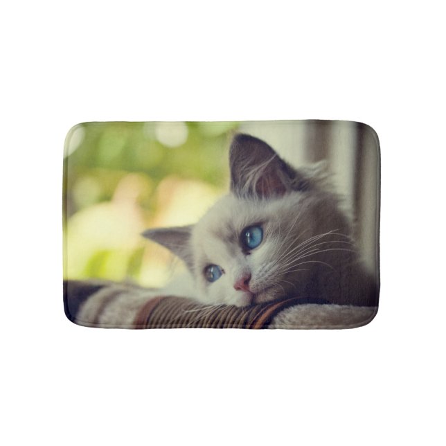 Tapete De Banheiro Gatinho de Ragdoll (frente)
