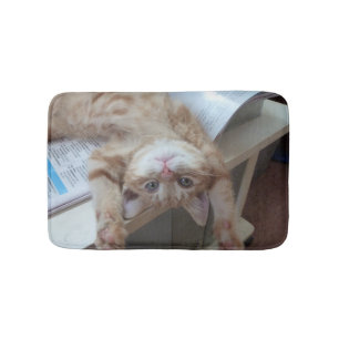 Tapete De Banheiro Gatinho que relaxa