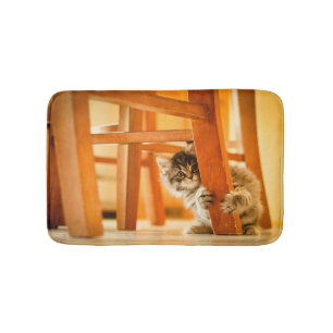 Tapete De Banheiro Gatinho sob a cadeira