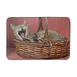 Tapete De Banheiro Gato Em Matéria De Banho