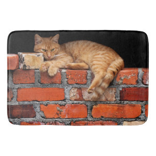 Tapete De Banheiro Gato no Muro de Tijolos