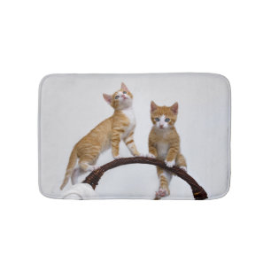 Tapete De Banheiro Gatos Bons Gatinhos Engraçados Foto De Gym -