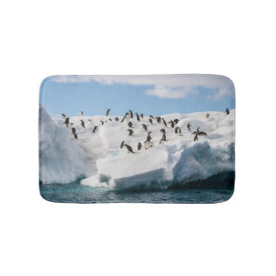Tapete De Banheiro Gentoo Penguin Antártica Iceberg Playtime
