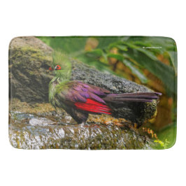 Tapete De Banheiro Guiné Turaco no Waterfall