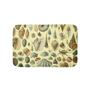 Tapete De Banheiro Impressão de Conchas Vintage Adolphe Millot Costei