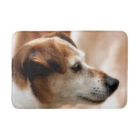 JACK RUSSELL TERRIER DOG