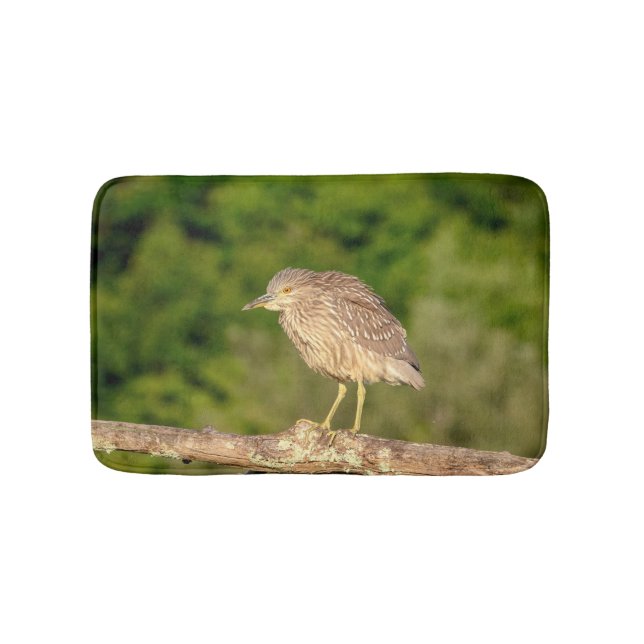 Tapete De Banheiro Juvenile Black Crowned Night Heron (frente)